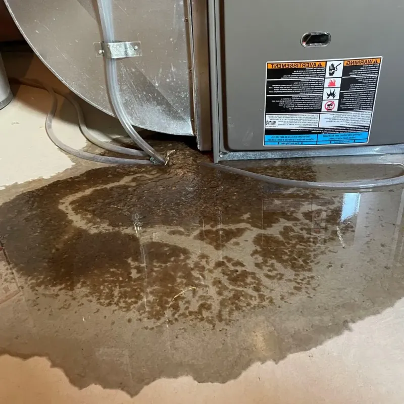 Pipe Burst and Leak Restoration in Diamond Ridge, AK