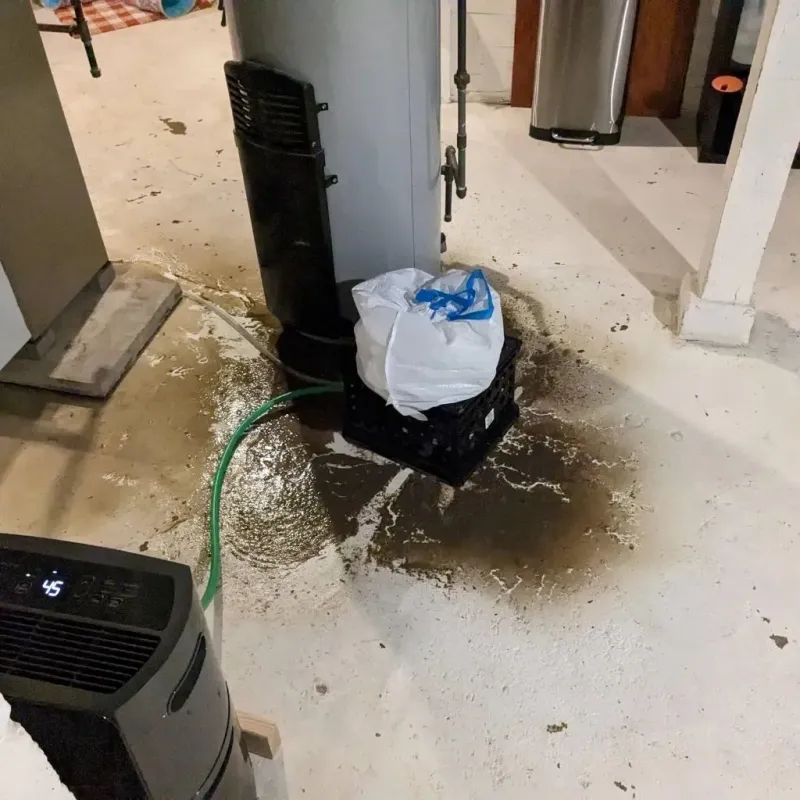 Sewage Backup Cleanup Service in Diamond Ridge, AK